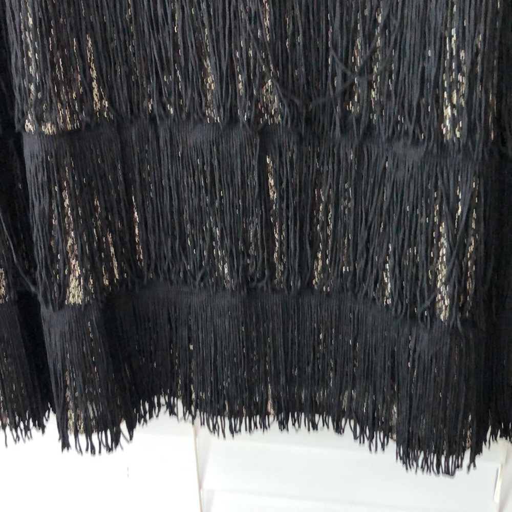 Flapper Girl Dress Roaring 20’s Halloween Costume Metallic Fringe Black One Size - Picture 6 of 7